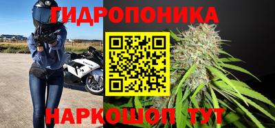 стафф Бугуруслан